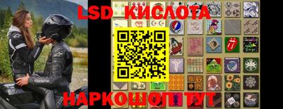 эйфоретик Будённовск